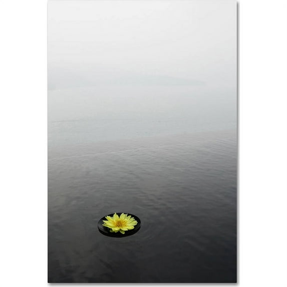 Trademark Fine Art "Zen 20x30 Reversed" Canvas Art by Kurt Shaffer