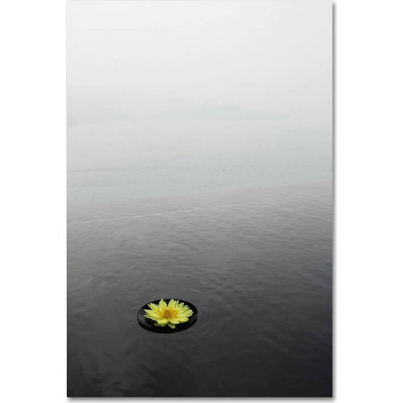 Trademark Fine Art "Zen 20x30 Reversed" Canvas Art by Kurt Shaffer