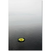 Trademark Fine Art "Zen 20x30 Reversed" Canvas Art by Kurt Shaffer