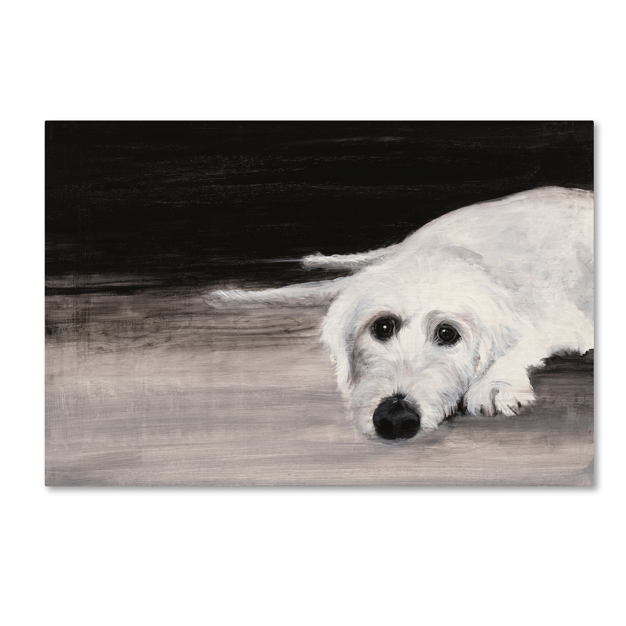 Trademark Fine Art 'Zena II' Canvas Art by Patsy Ducklow