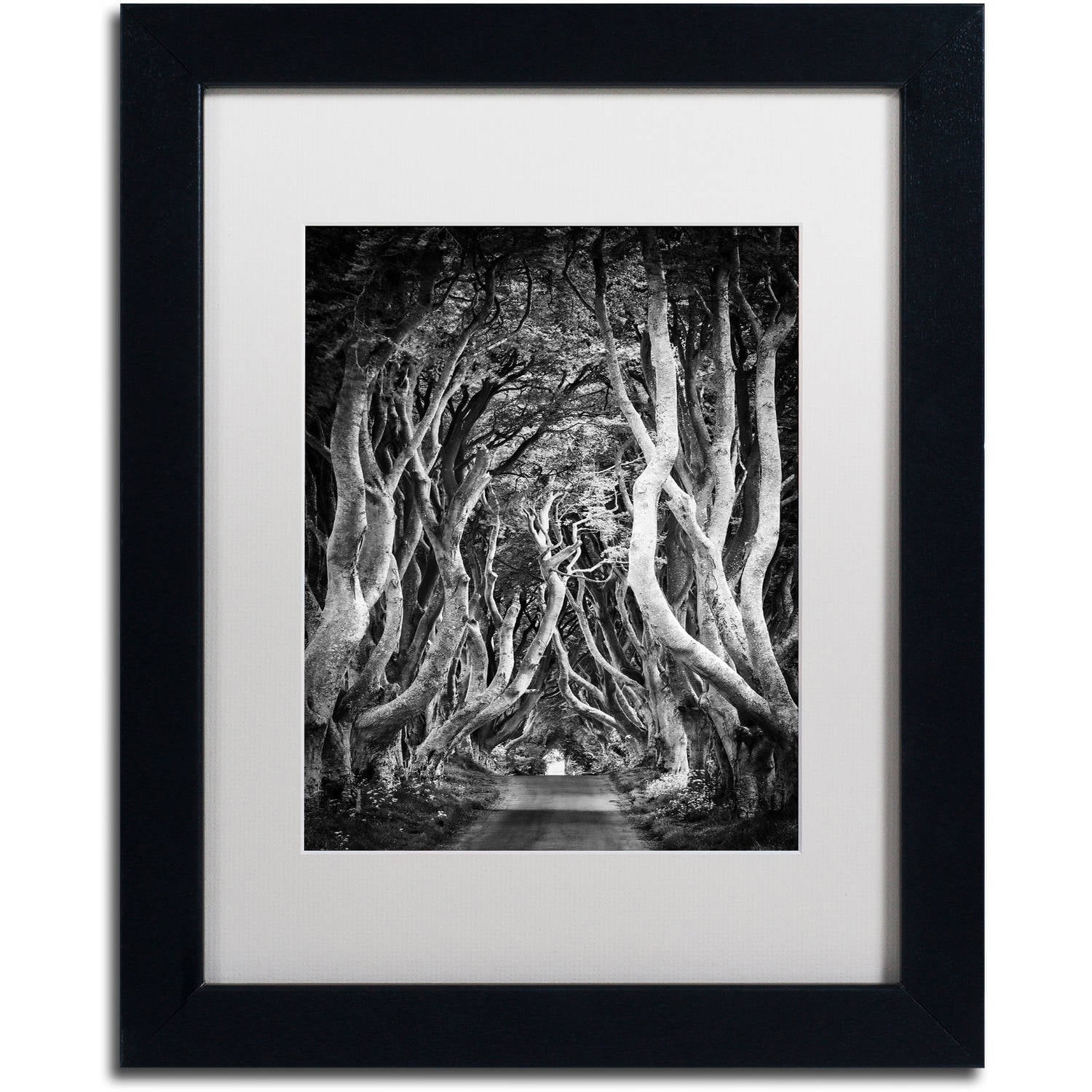 Trademark Fine Art "Zig Zag Nation" Canvas Art by Philippe Sainte-Laudy, White Matte, Black Frame