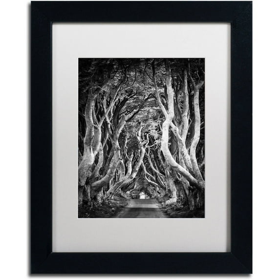 Trademark Fine Art "Zig Zag Nation" Canvas Art by Philippe Sainte-Laudy, White Matte, Black Frame