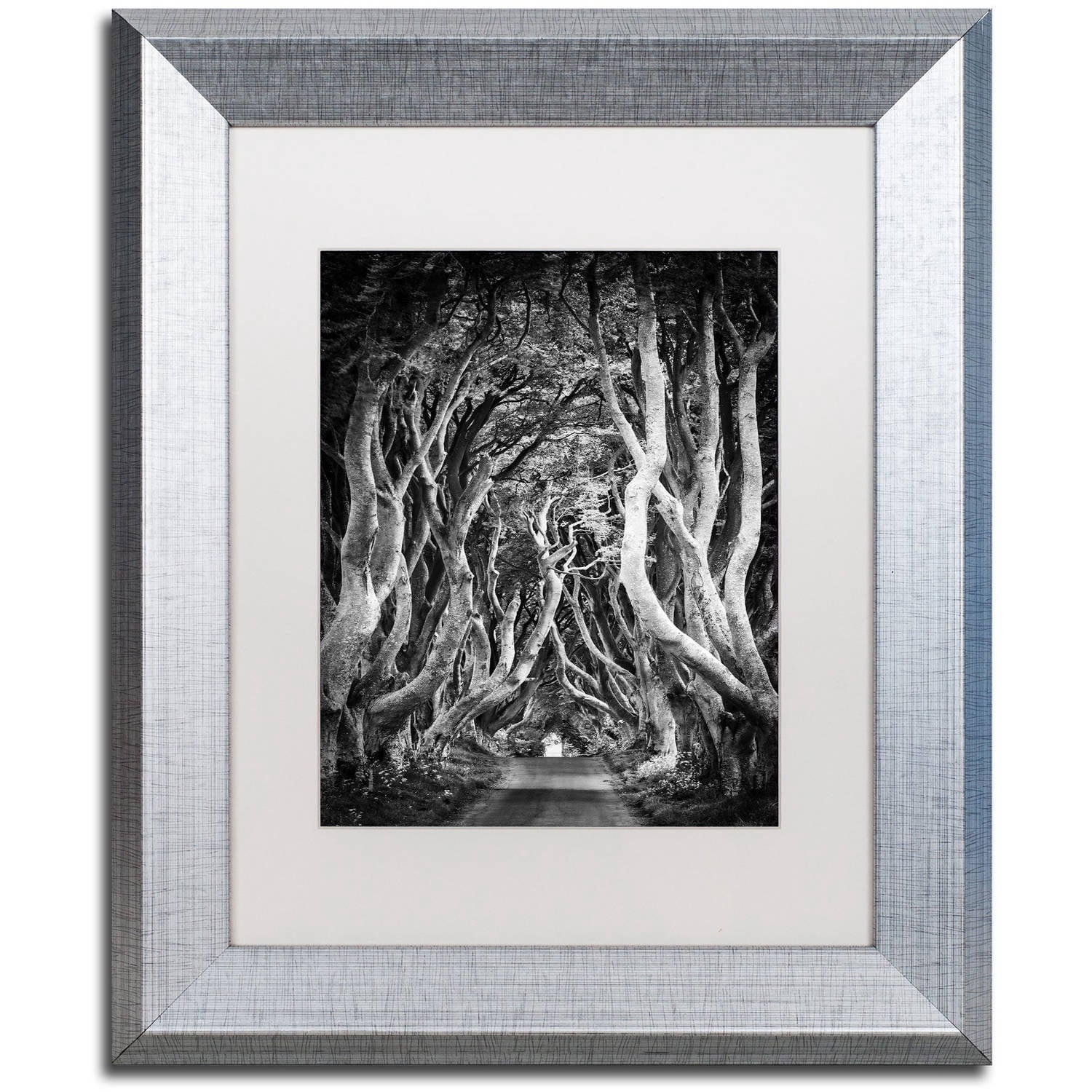 Trademark Fine Art "Zig Zag Nation" Canvas Art by Philippe Sainte-Laudy, White Matte, Silver Frame
