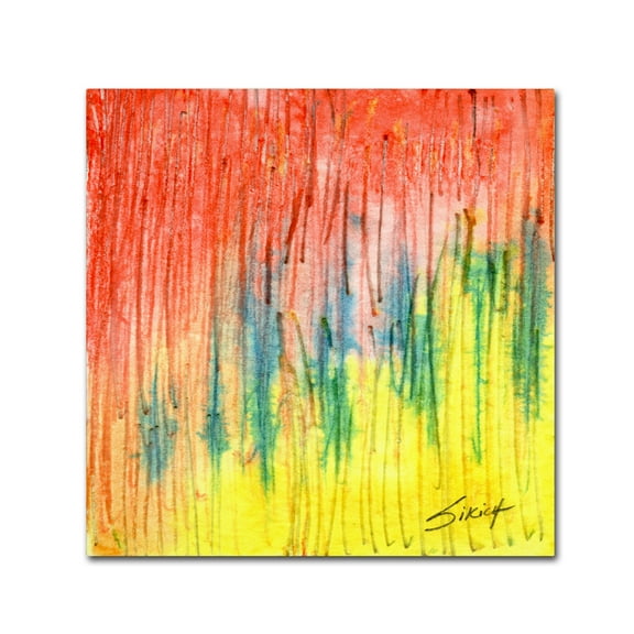 Trademark Fine Art 'Zig's Zag' Canvas Art by Anthony Sikich