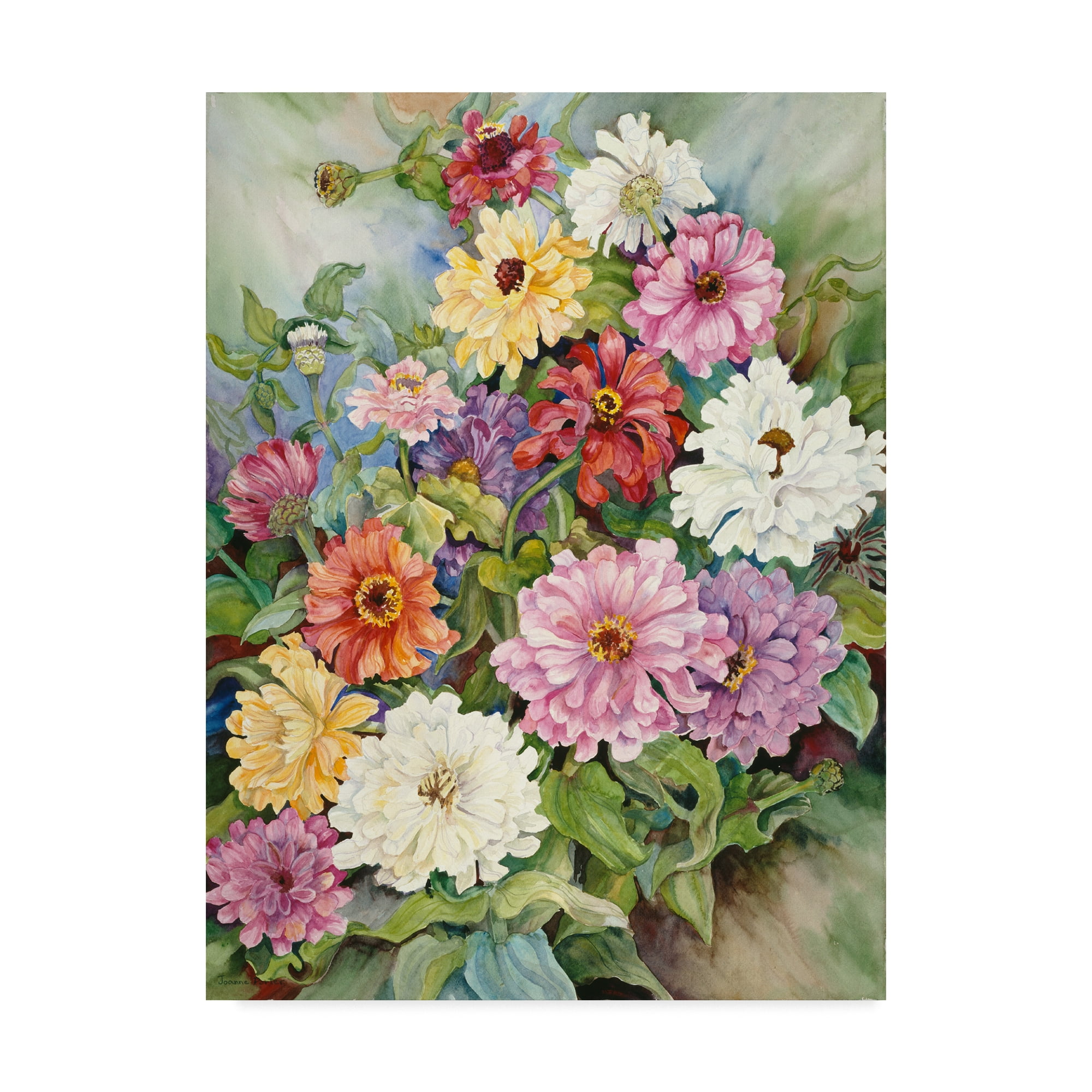 Trademark Fine Art 'Zinnias From A Fall Garden' Canvas Art by Joanne Porter