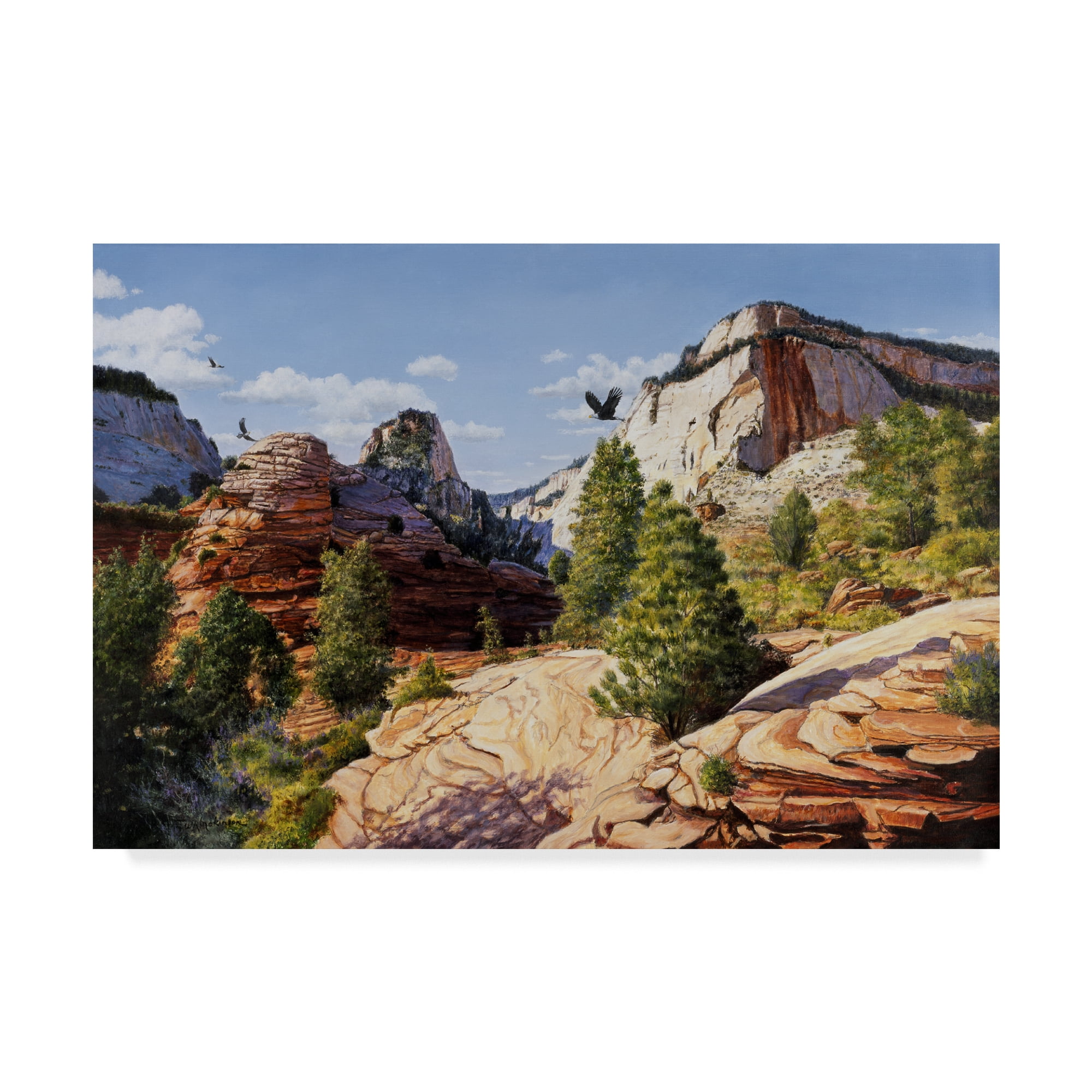 Trademark Fine Art 'Zion 2' Canvas Art by Bill Makinson