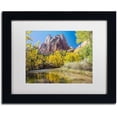 thumbnail image 1 of Trademark Fine Art "Zion Autumn" Canvas Art by Pierre Leclerc, White Matte/Black Frame, 1 of 1