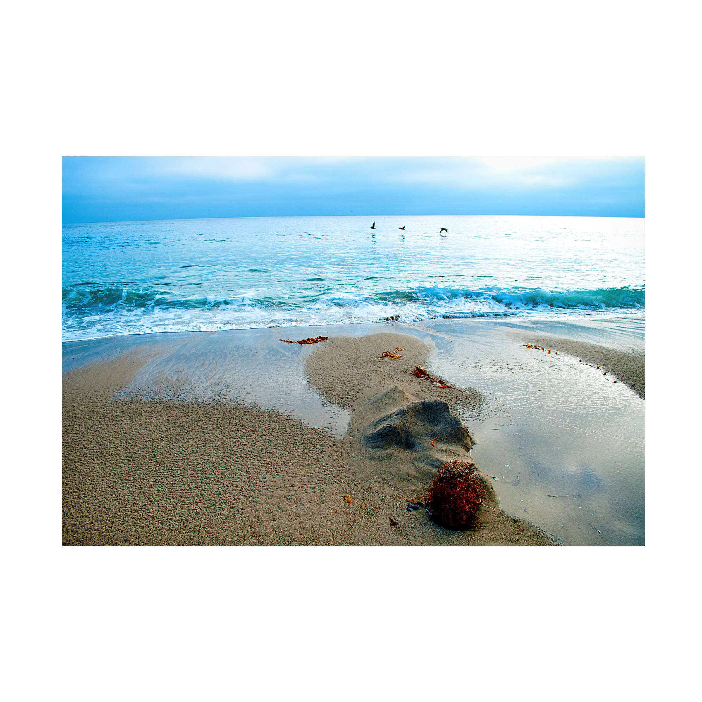 Trademark Fine Art 'Zuma Beach, Ca' Canvas Art by Lori Hutchison
