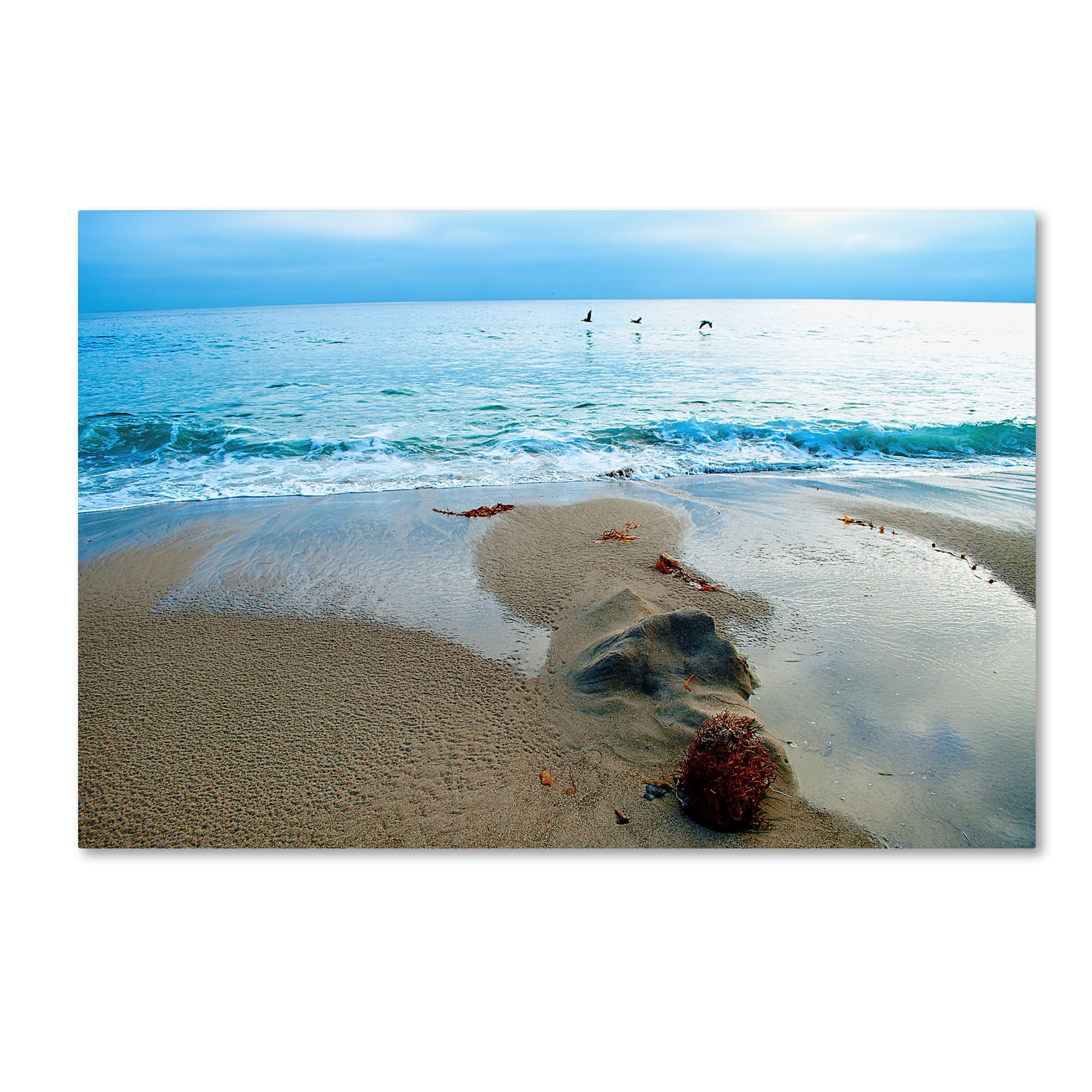 Trademark Fine Art 'Zuma Beach, Ca' Canvas Art by Lori Hutchison