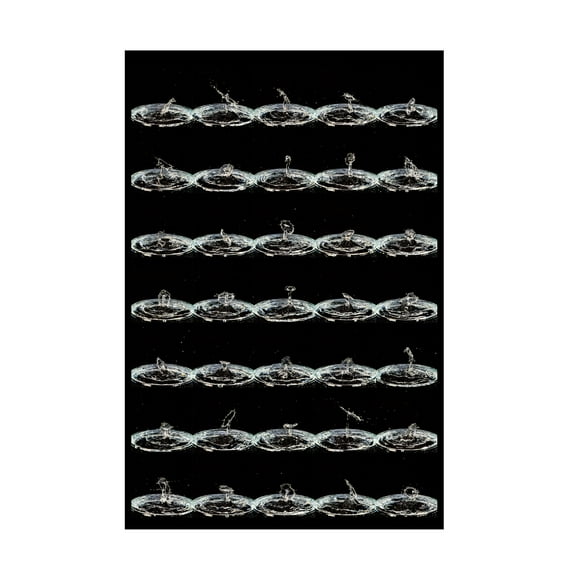 Trademark Fine Art aybena Droplets Canvas Wall Art