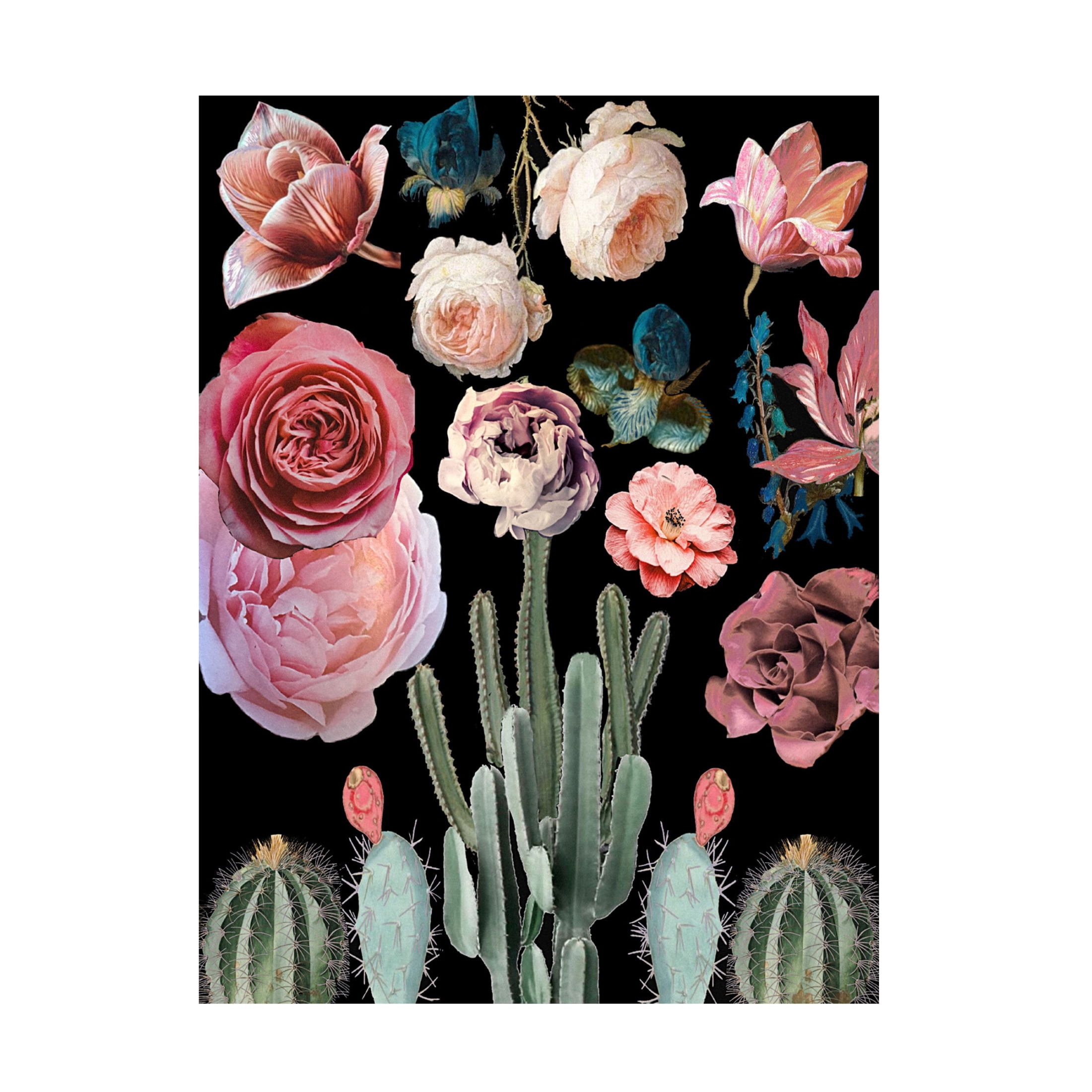 Trademark Fine Art giovanna nicolo Cacti Floral Blooms Botanical Canvas Wall Art