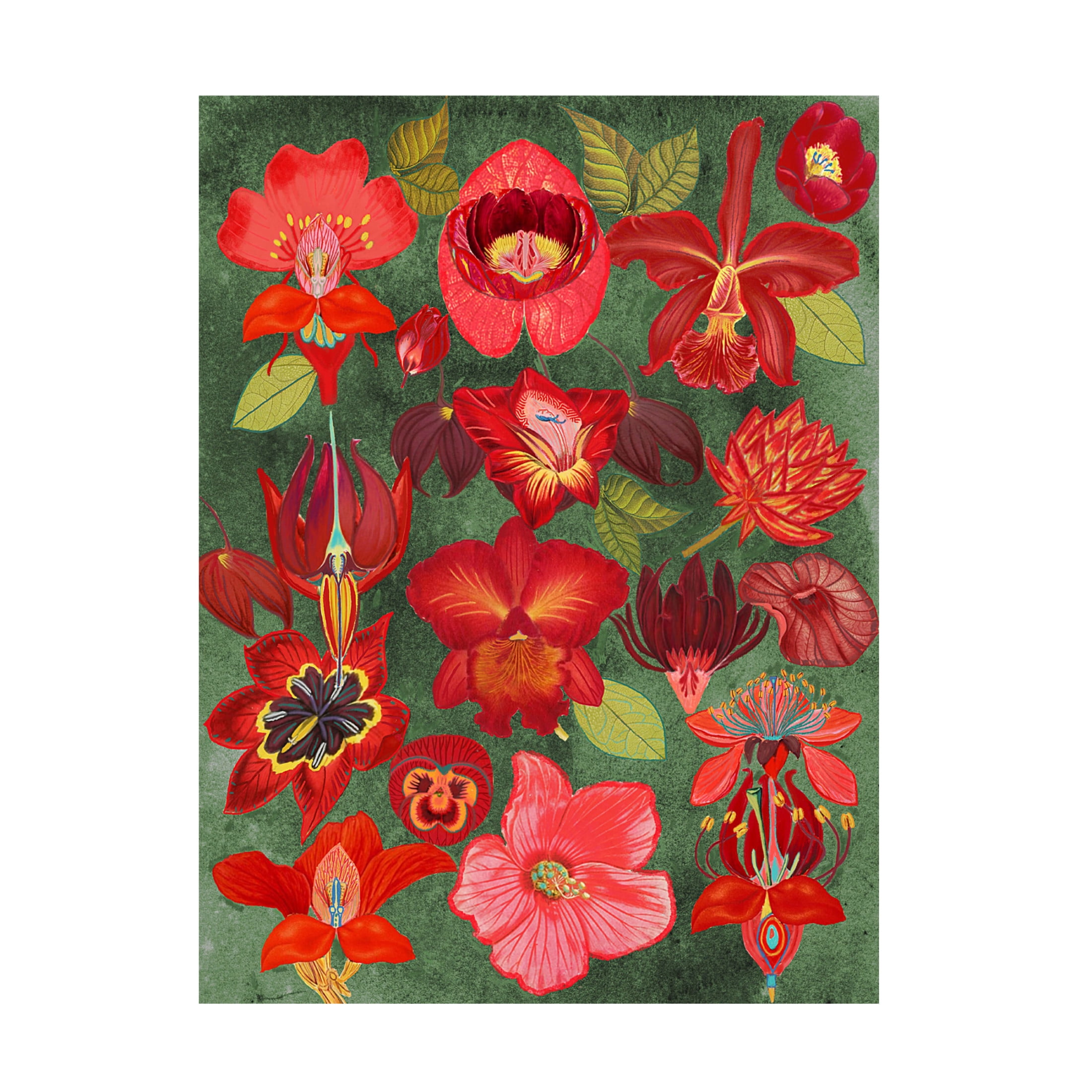 Trademark Fine Art giovanna nicolo  Final Eclectic Garden Canvas Wall Art