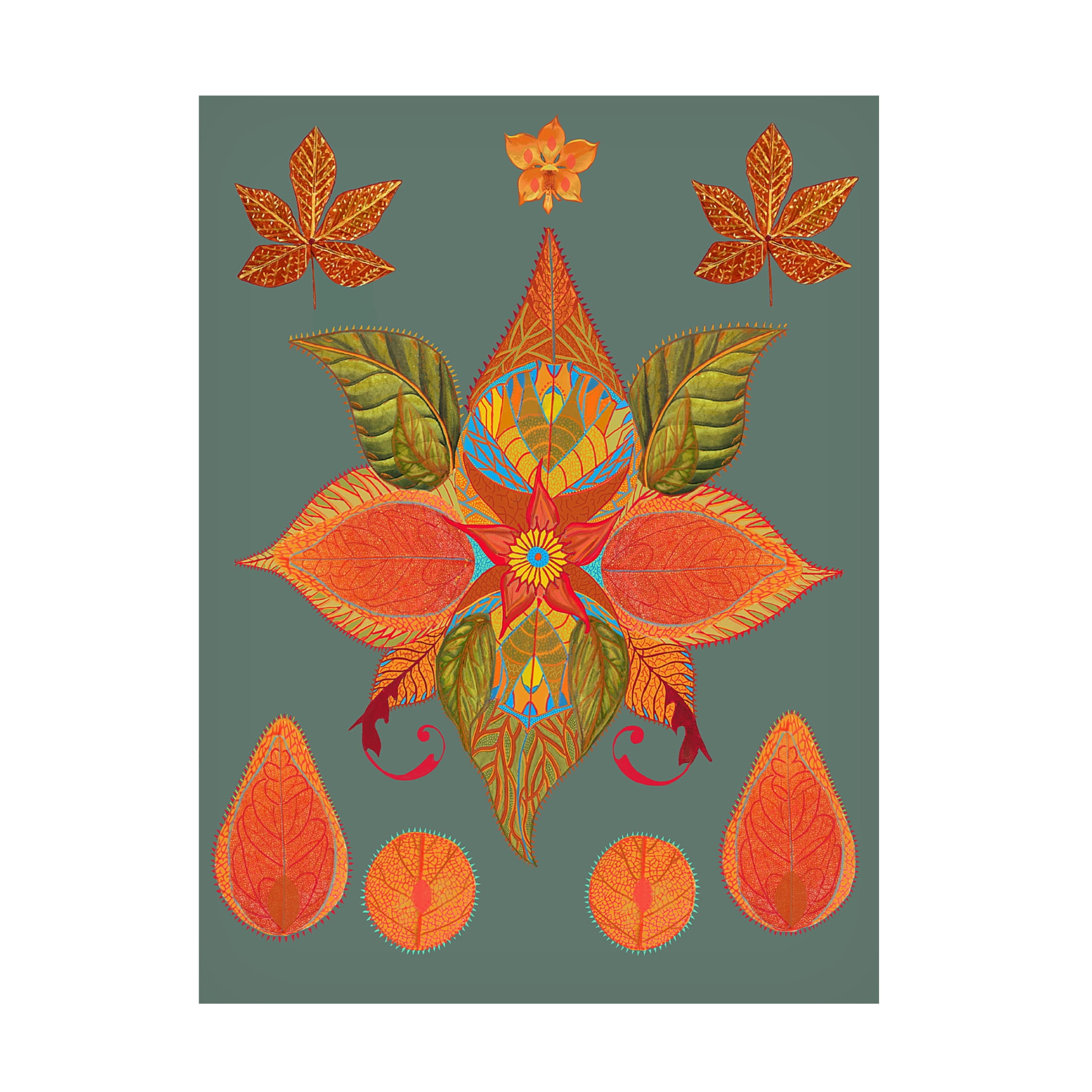 Trademark Fine Art giovanna nicolo Inventive Leaves Canvas Wall Art
