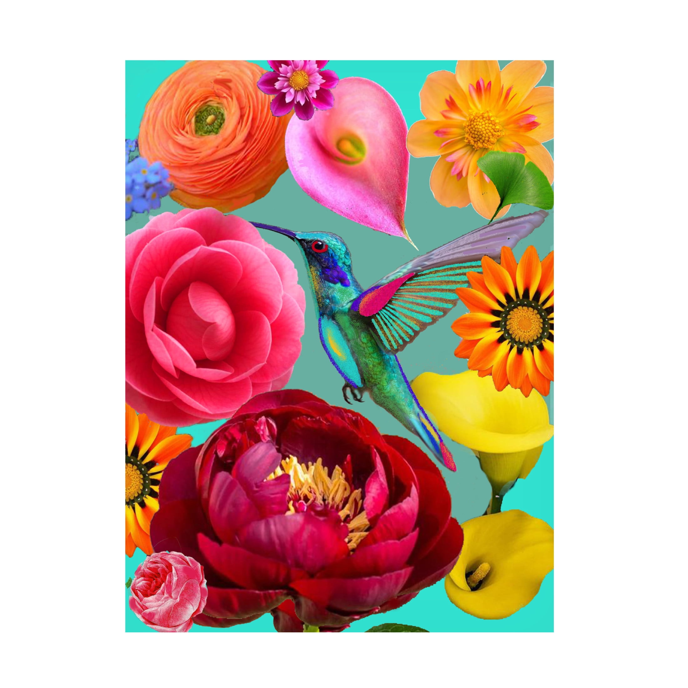 Trademark Fine Art giovanna nicolo  Nuclear Nature Canvas Wall Art