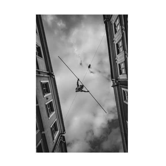 Trademark Fine Art iuliana pasca Equilibrium Canvas Wall Art