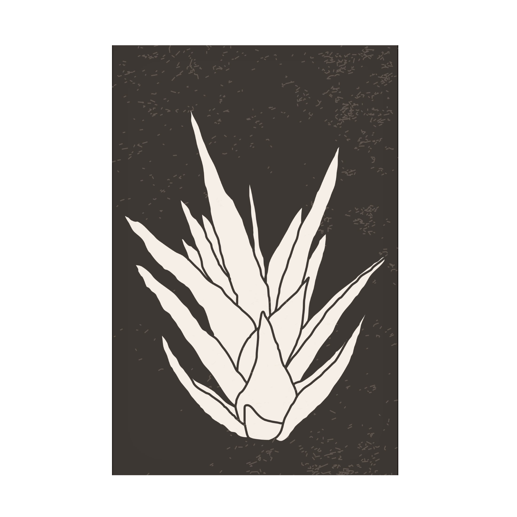 Trademark Fine Art jay stanley  Agave 3 Canvas Wall Art
