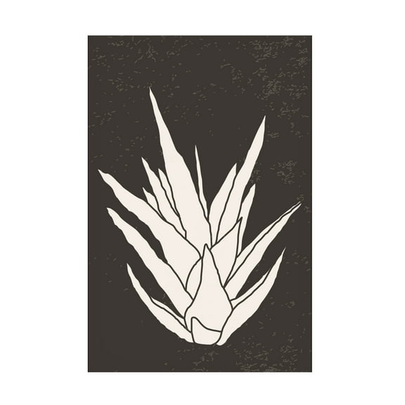 Trademark Fine Art jay stanley  Agave 3 Canvas Wall Art