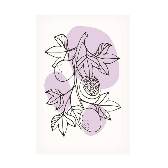 Trademark Fine Art jay stanley Boho Fruits 1 Canvas Wall Art