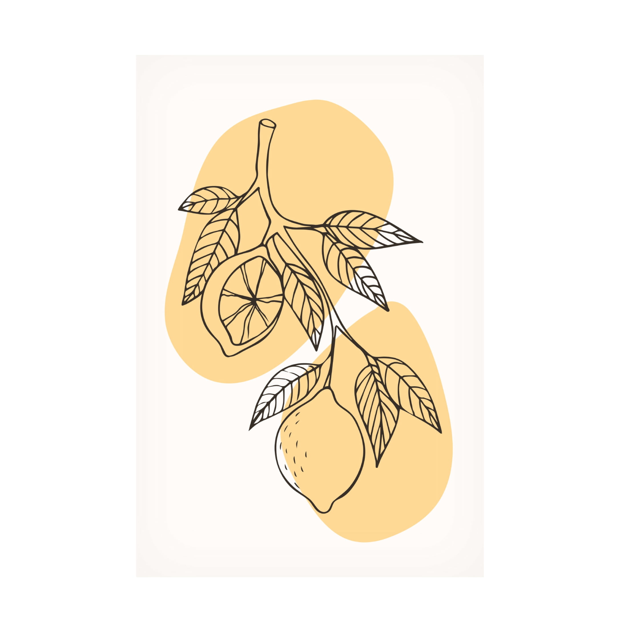 Trademark Fine Art jay stanley Boho Fruits 2 Canvas Wall Art