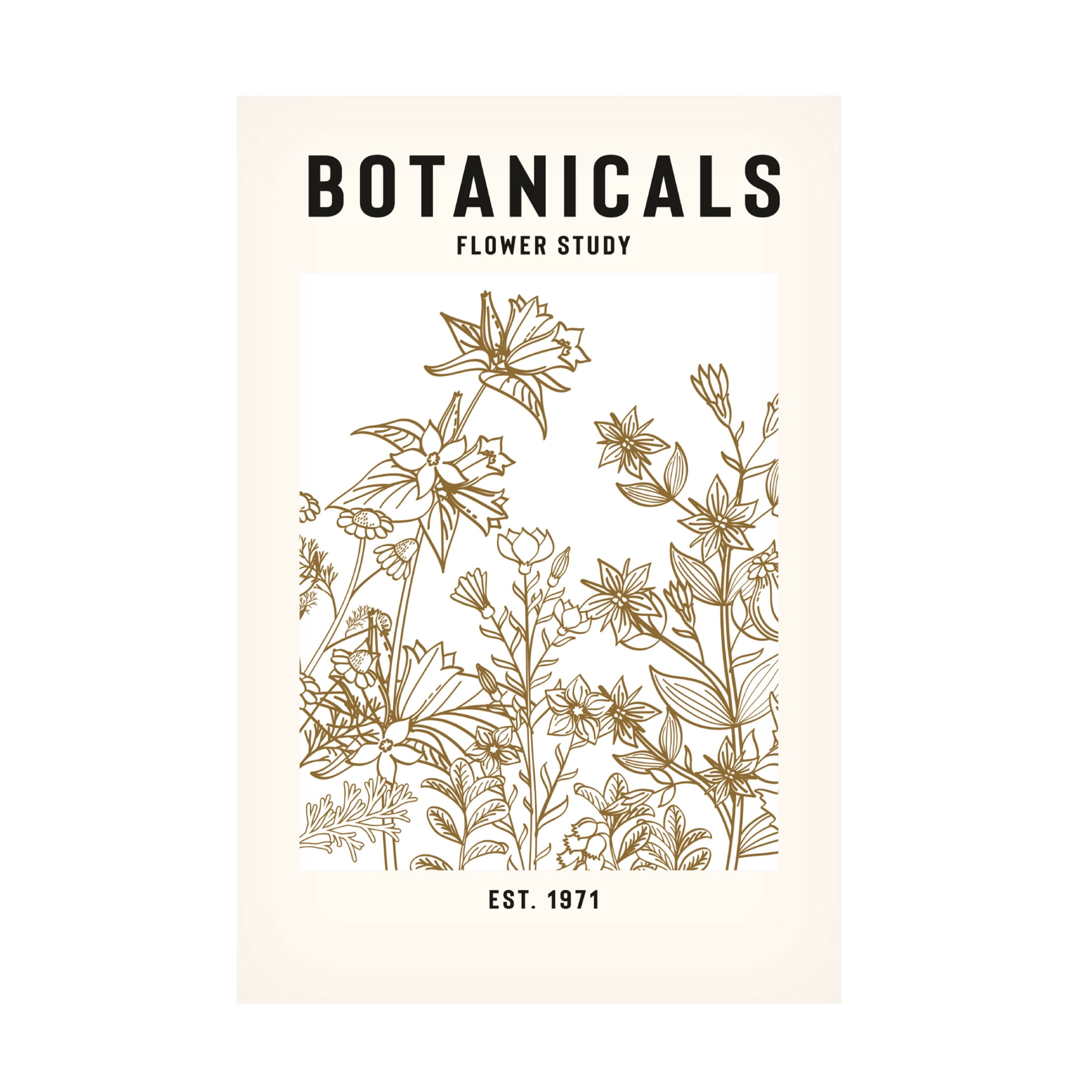 Trademark Fine Art jay stanley Botanicals Flower Study Ii Canvas Wall Art