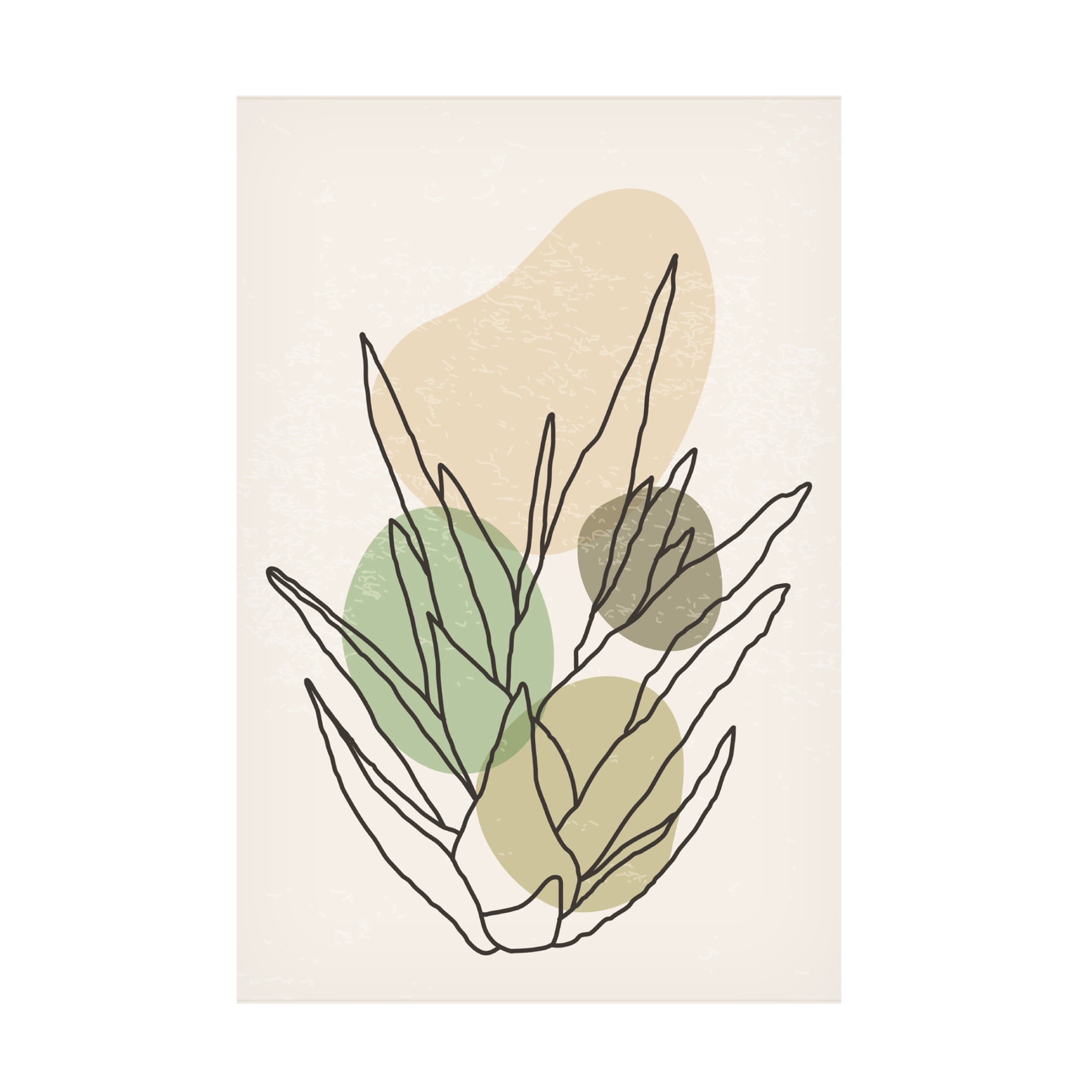 Trademark Fine Art jay stanley Color Abstract Agave 1 Canvas Wall Art