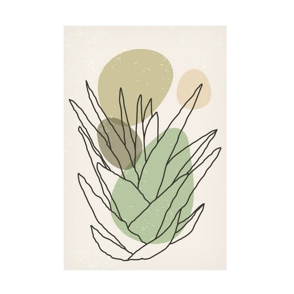 Trademark Fine Art jay stanley Color Abstract Agave 2 Canvas Wall Art