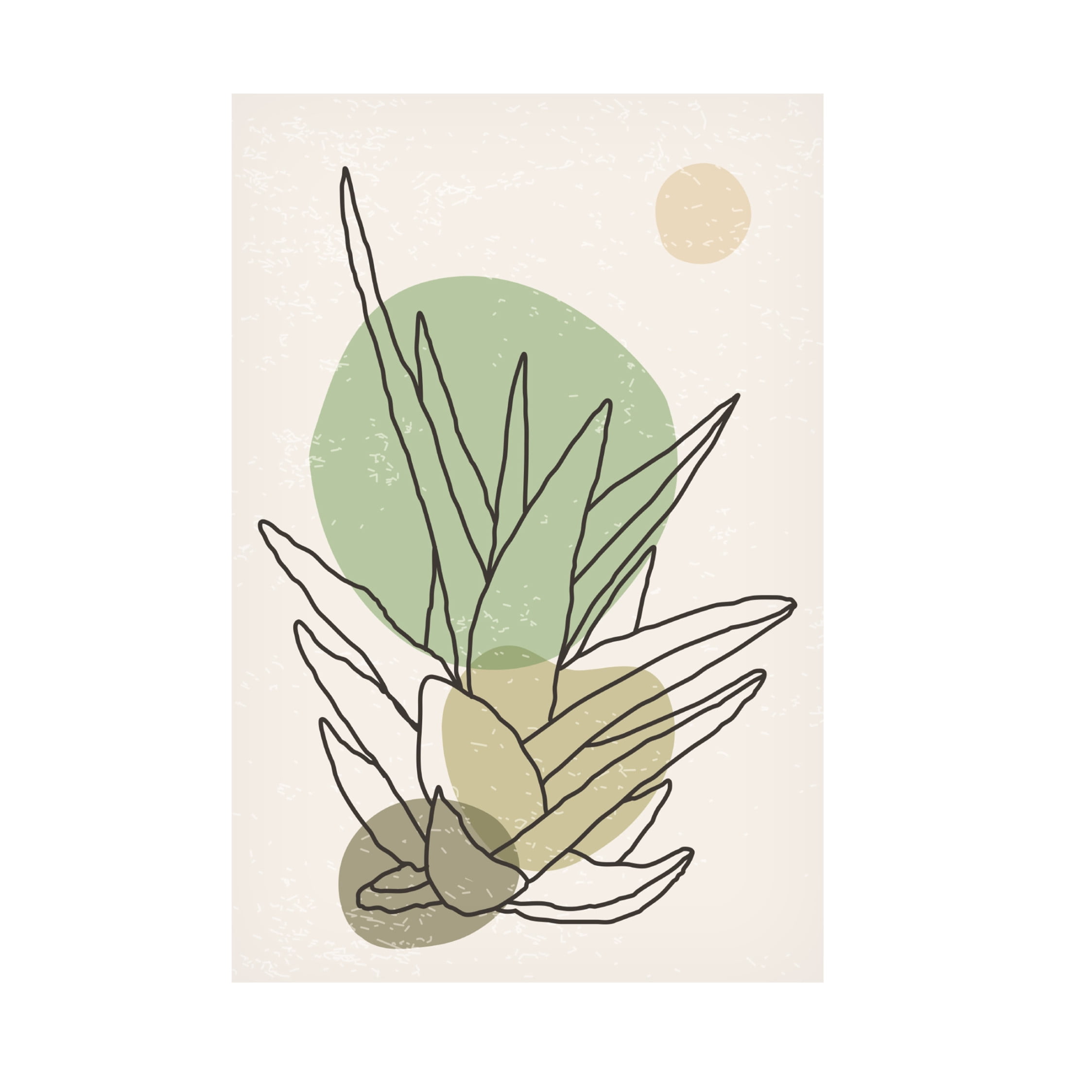 Trademark Fine Art jay stanley Color Abstract Agave 3 Canvas Wall Art