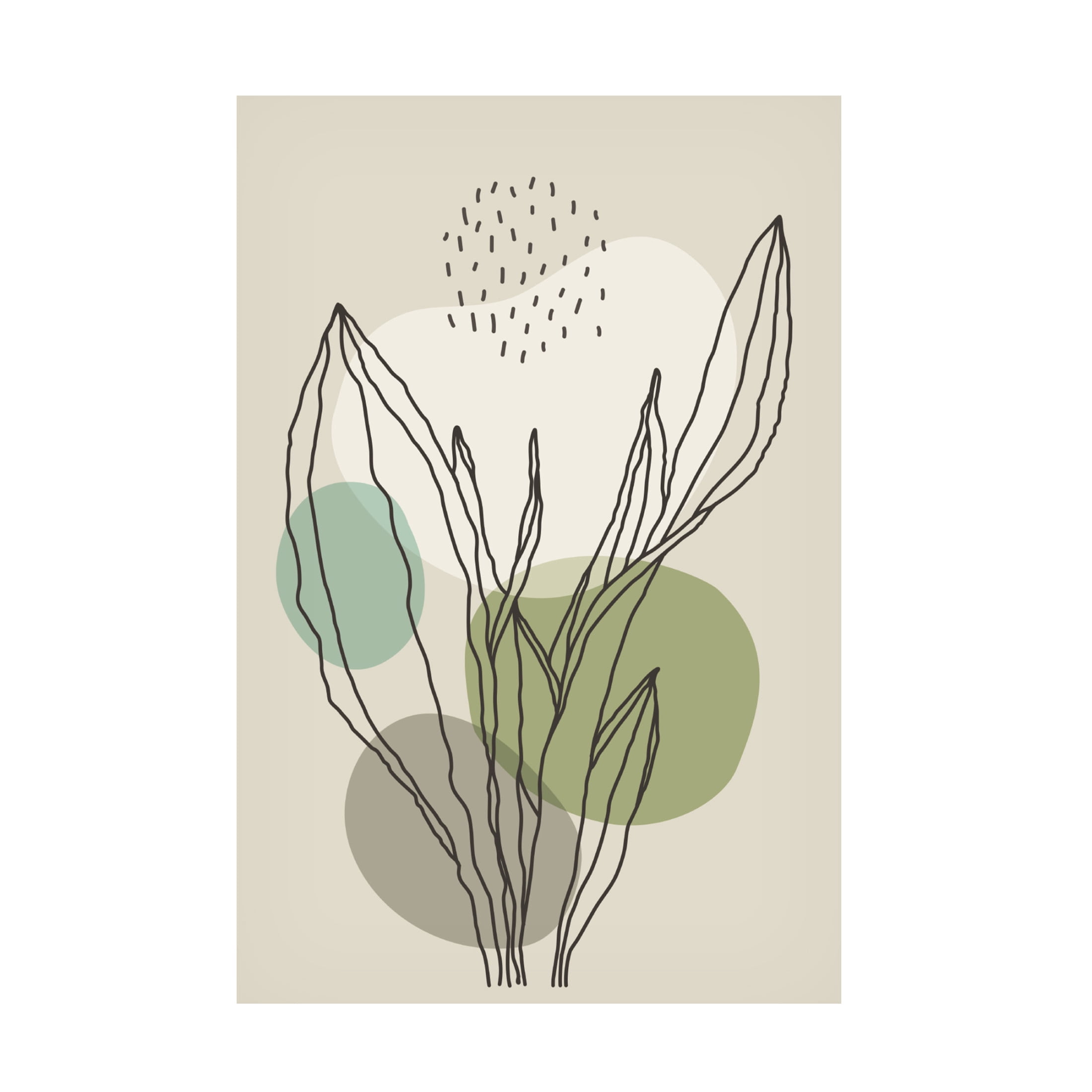 Trademark Fine Art jay stanley Color Abstract Plants 3 Canvas Wall Art