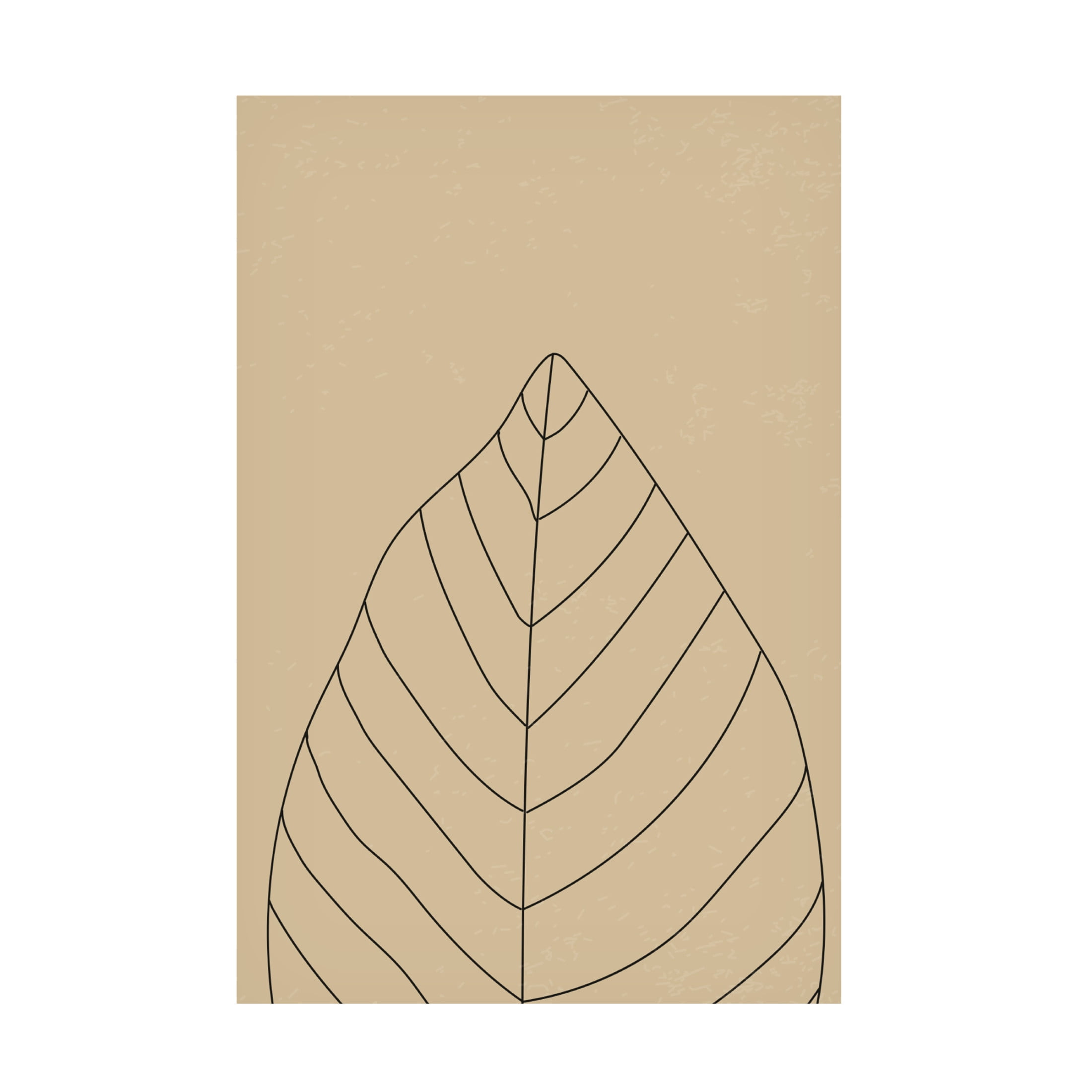 Trademark Fine Art jay stanley Minimal Leaves 1 Canvas Wall Art