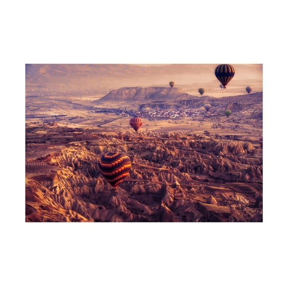 Trademark Fine Art mihai ian nedelcu flight path Canvas Wall Art