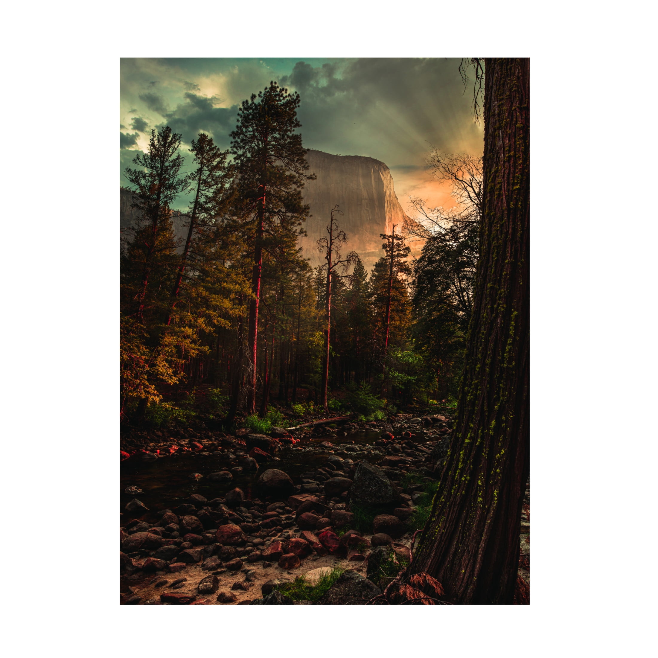 Trademark Fine Art pirouz moshavash Yosemite 6 Canvas Wall Art