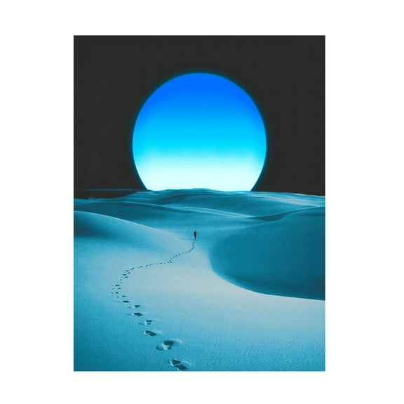 Trademark Fine Art spacerocket art  122 Canvas Wall Art