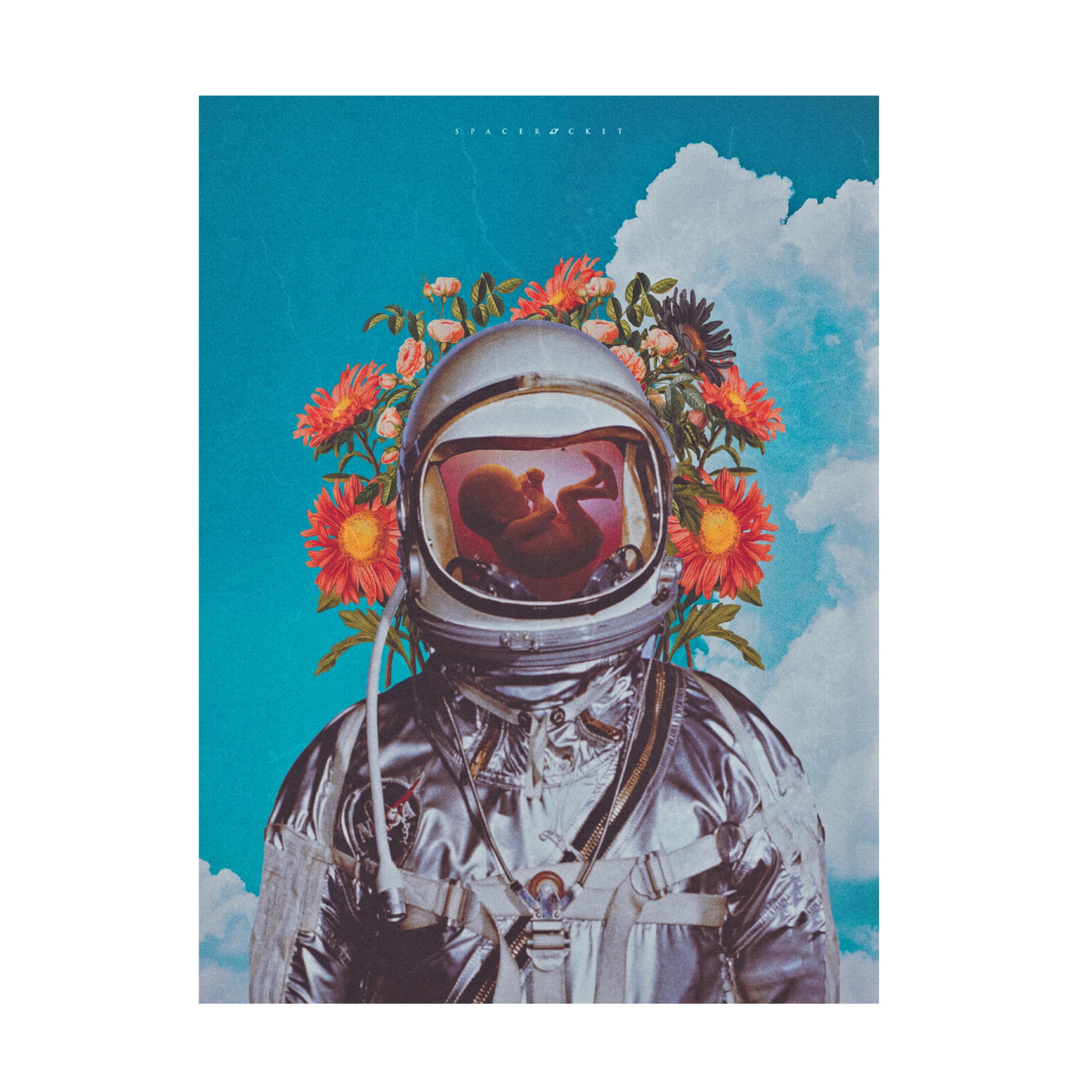 Trademark Fine Art spacerocket art 191 Canvas Wall Art