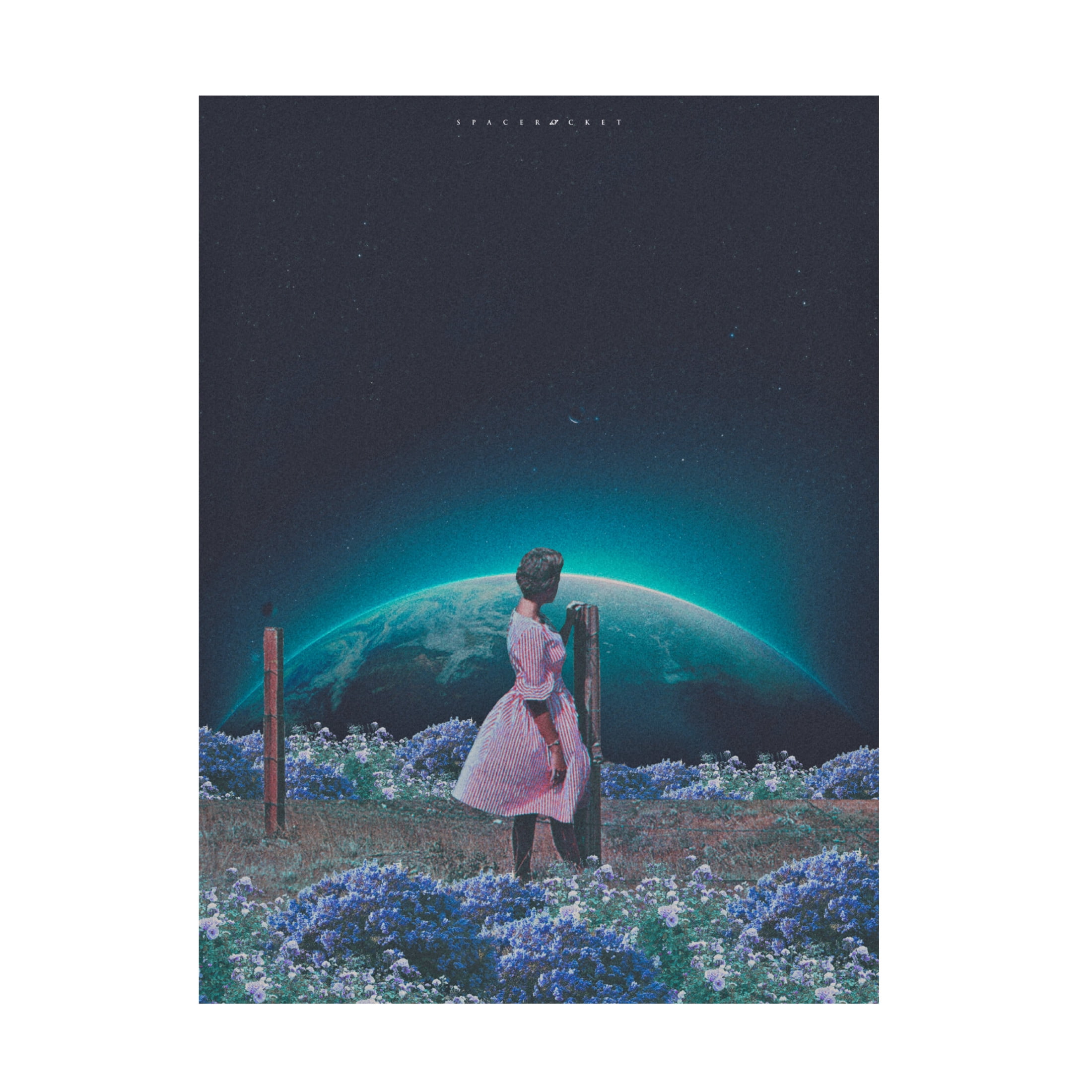 Trademark Fine Art spacerocket art 204 Canvas Wall Art