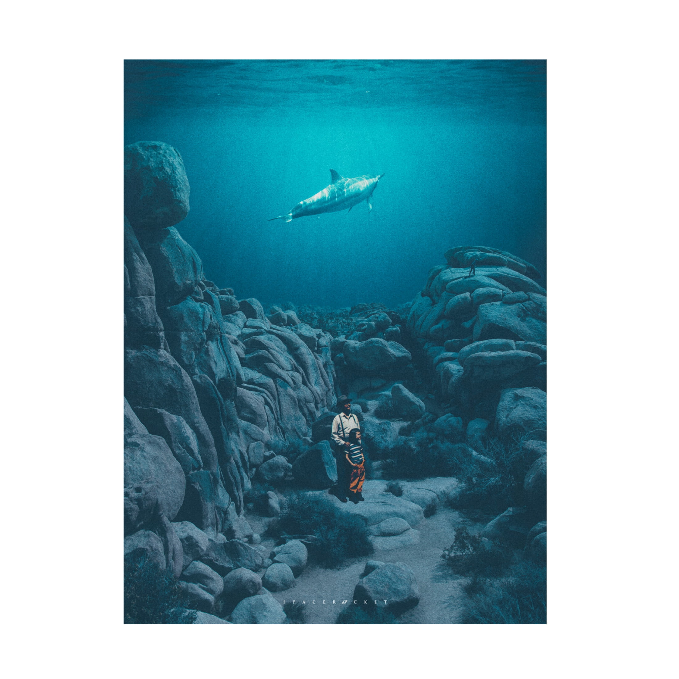 Trademark Fine Art spacerocket art  262 Canvas Wall Art