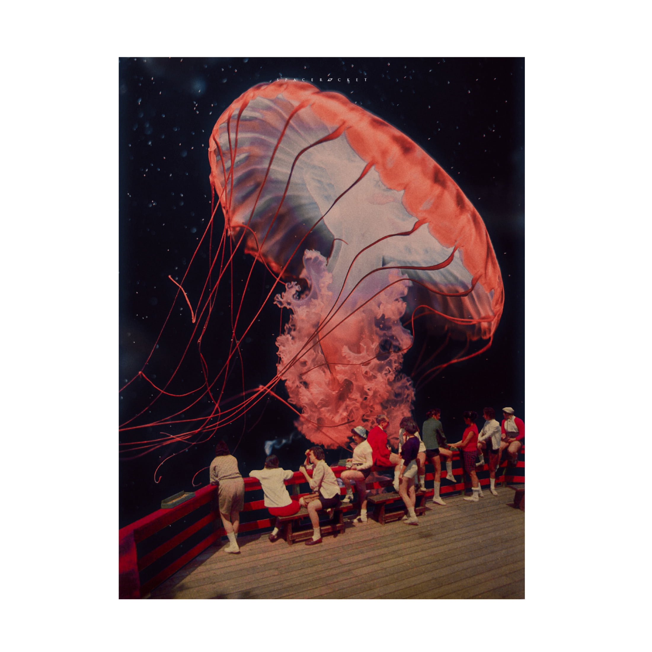 Trademark Fine Art spacerocket art 310 Canvas Wall Art