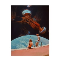 Trademark Fine Art spacerocket art 334 Canvas Wall Art