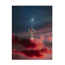 Trademark Fine Art spacerocket art 359 Canvas Wall Art