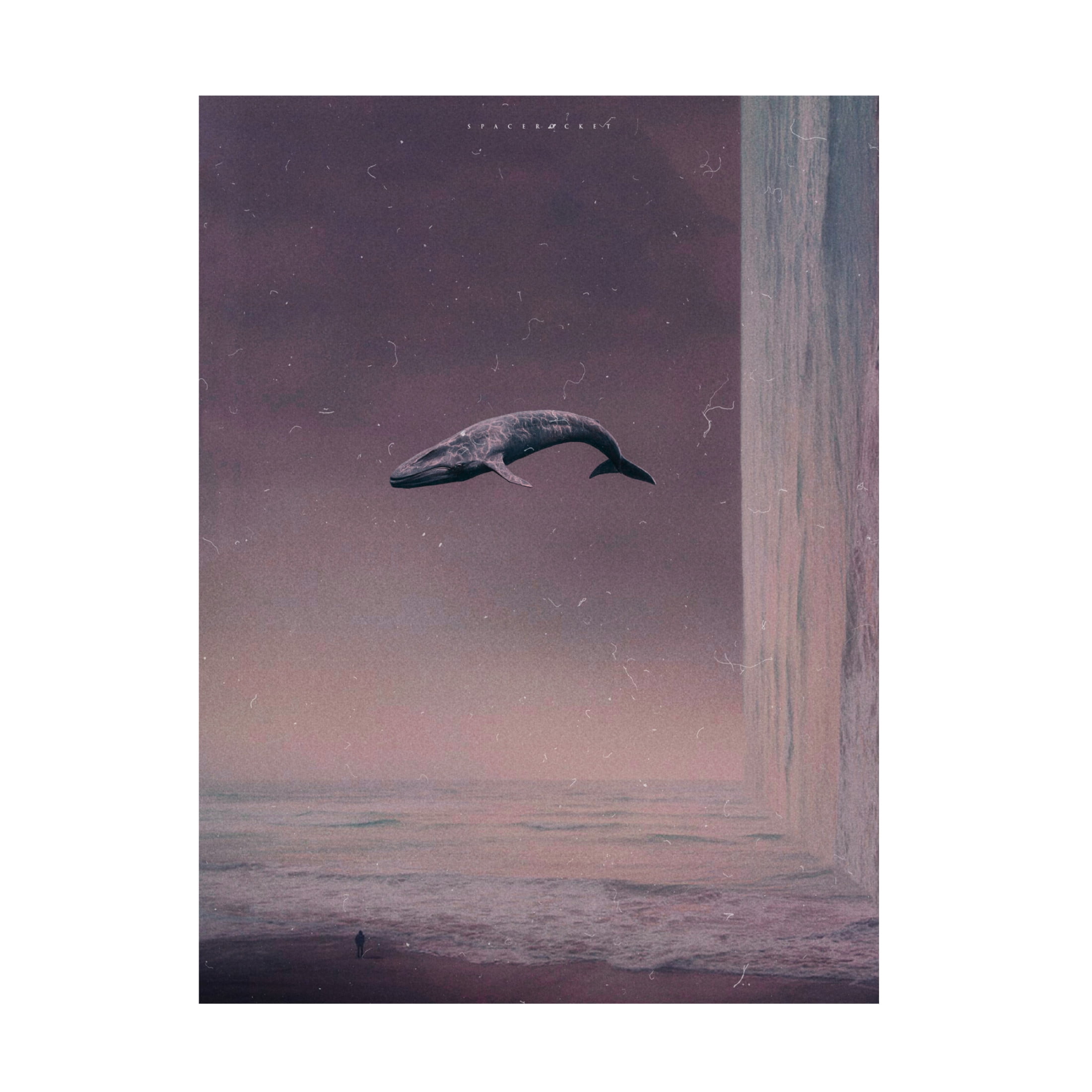 Trademark Fine Art spacerocket art 453 Canvas Wall Art