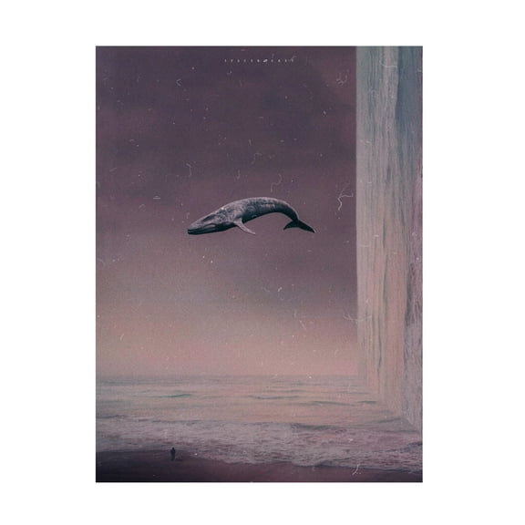 Trademark Fine Art spacerocket art 453 Canvas Wall Art