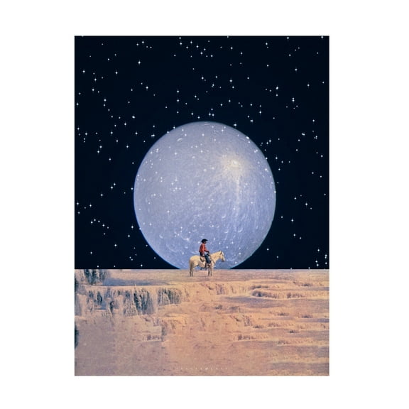 Trademark Fine Art spacerocket art  464 Canvas Wall Art