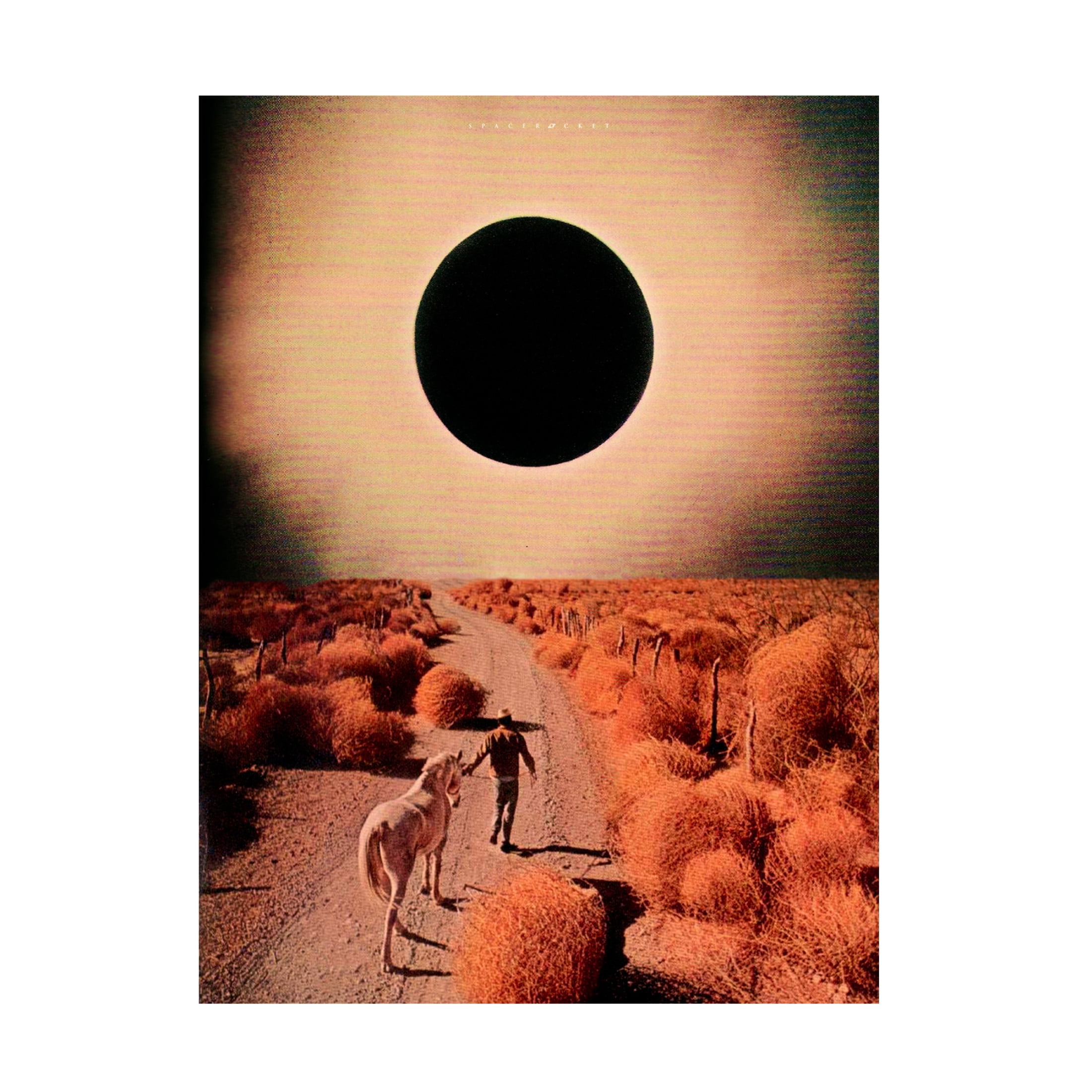 Trademark Fine Art spacerocket art  498 Canvas Wall Art