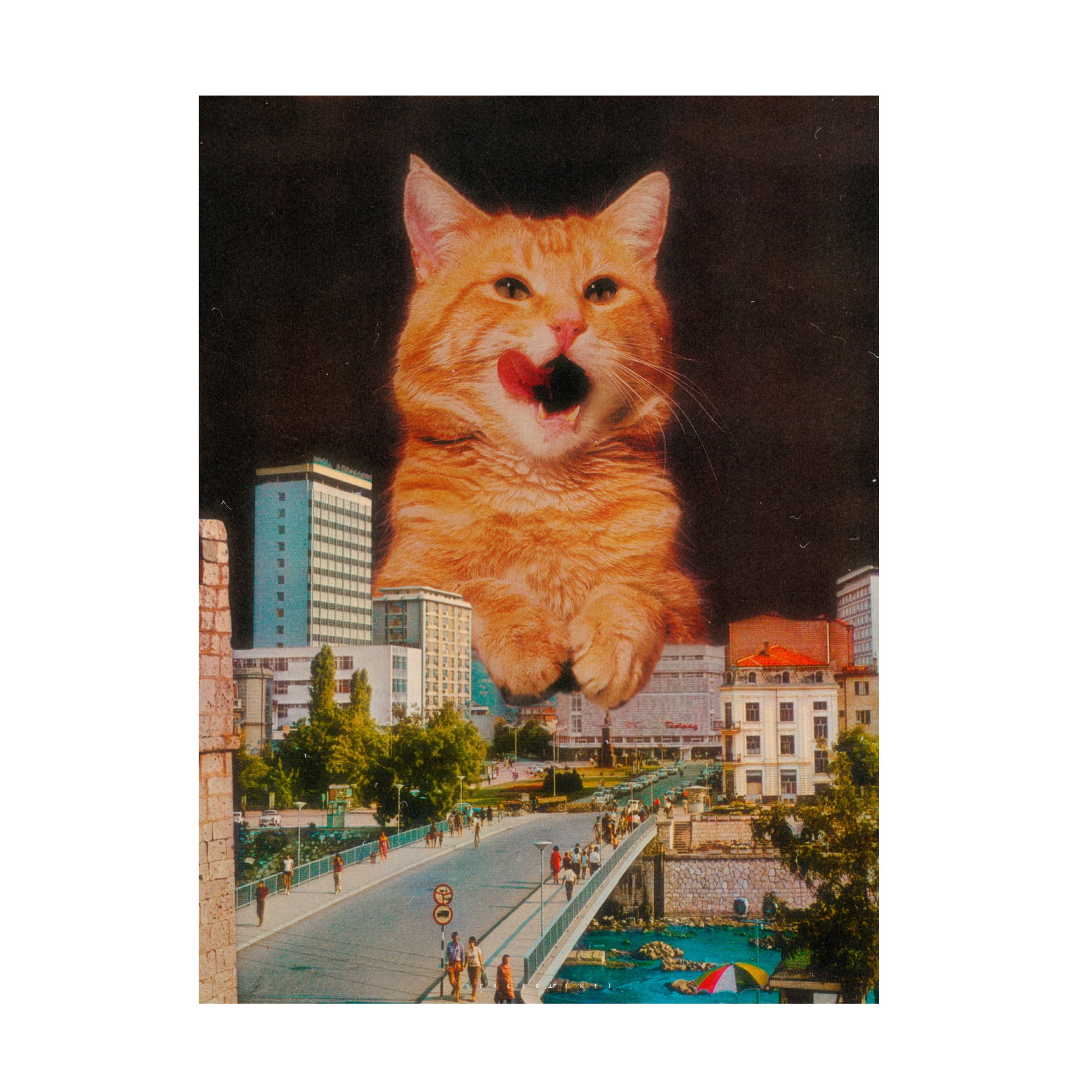 Trademark Fine Art spacerocket art  585 Canvas Wall Art
