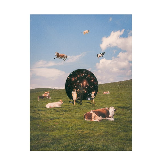 Trademark Fine Art spacerocket art 625 Canvas Wall Art