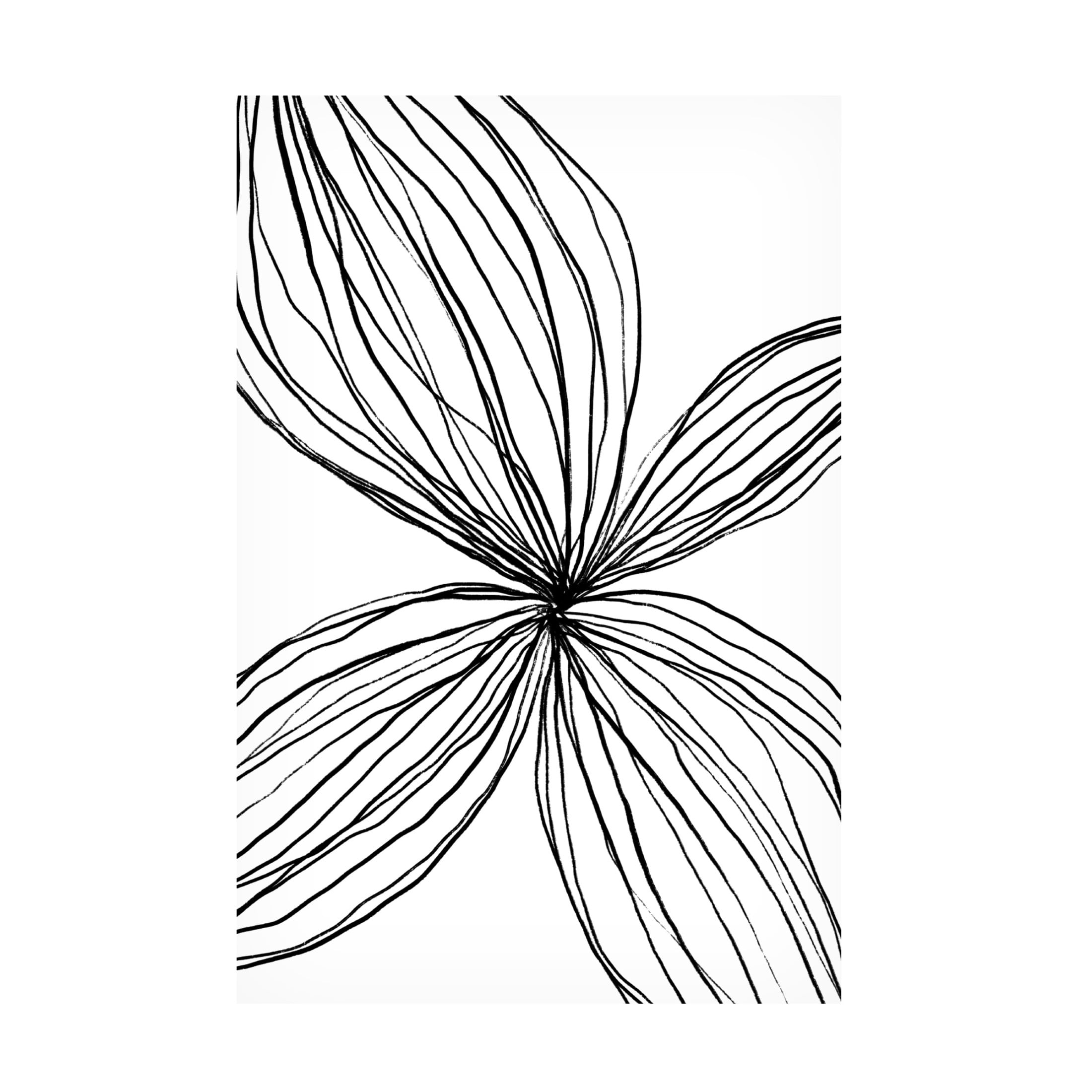 Trademark Fine Art uplusmestudio Flowerina 2 Canvas Wall Art