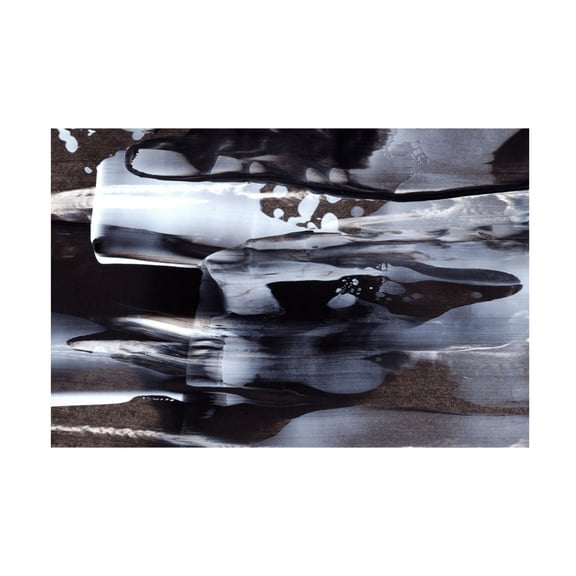 Trademark Fine Art uplusmestudio Fluid Texture Canvas Wall Art