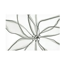 Trademark Fine Art uplusmestudio Fragile Flower Canvas Wall Art