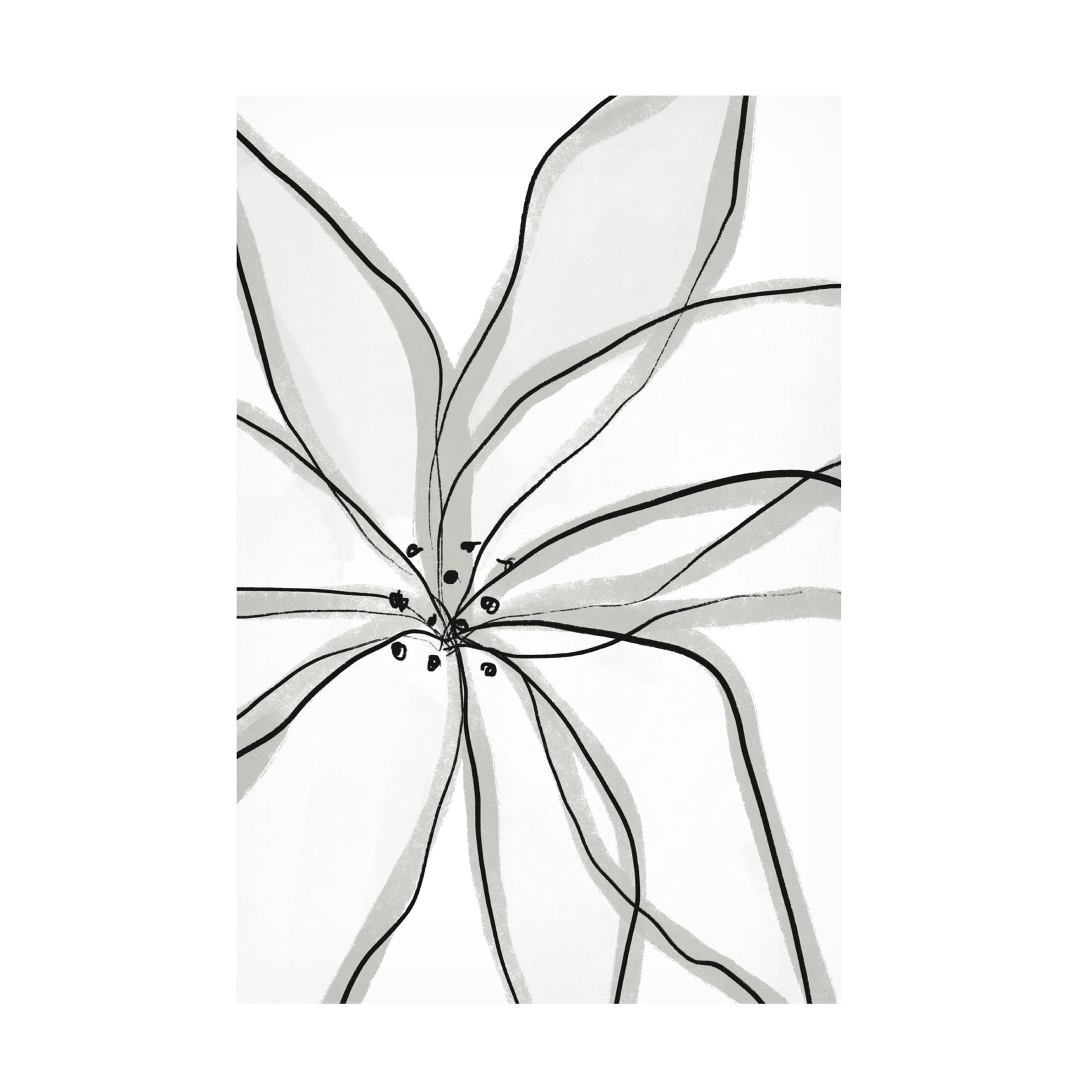 Trademark Fine Art uplusmestudio Fragile Flower Canvas Wall Art