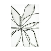 Trademark Fine Art uplusmestudio Fragile Flower Canvas Wall Art