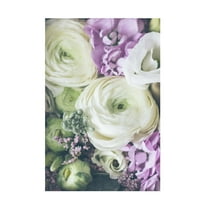 Trademark Fine Art uplusmestudio Lovely Ranunculus Canvas Wall Art